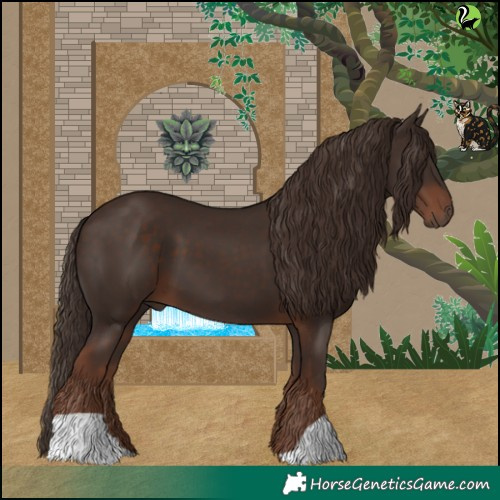 Horse Color:Liver Chestnut 