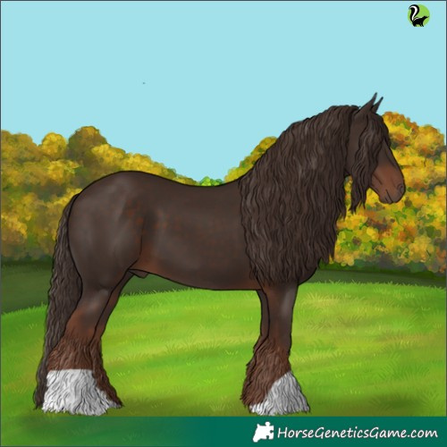 Horse Color:Liver Chestnut 