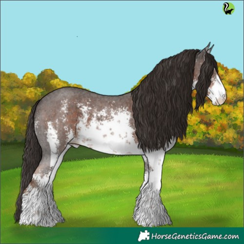 Horse Color:White Spotted Liver Chestnut Sabino 
