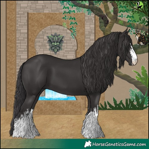 Horse Color:White Spotted Smoky Black 