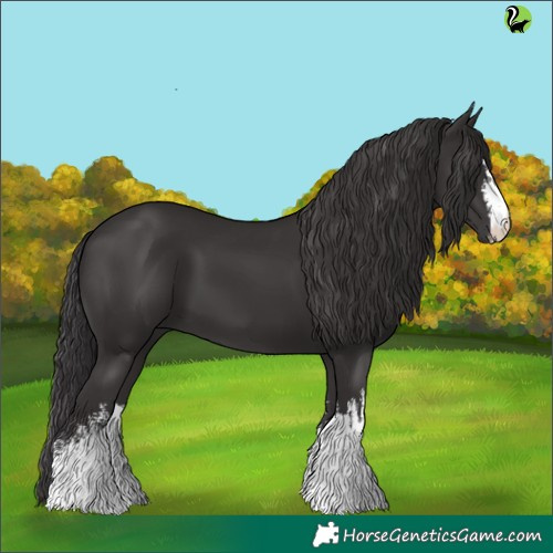 Horse Color:White Spotted Smoky Black 