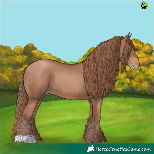 Horse Color:Black Pearl 