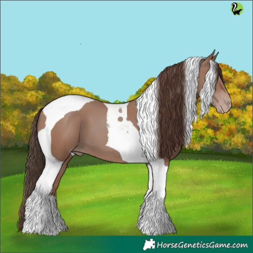 Horse Color:Classic Champagne Tobiano 