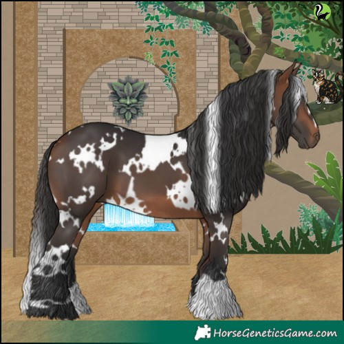 Horse Color:White Spotted Bay 