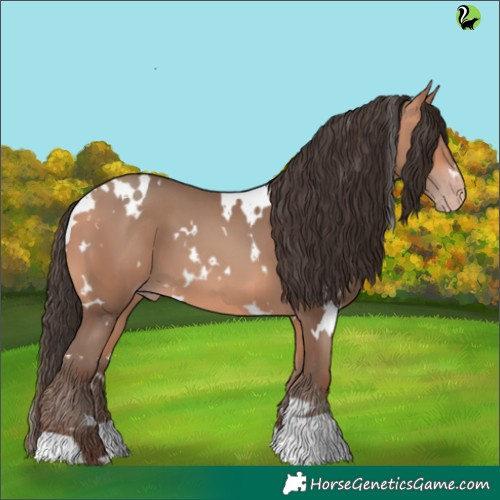 Horse Color:White Spotted Amber Champagne 
