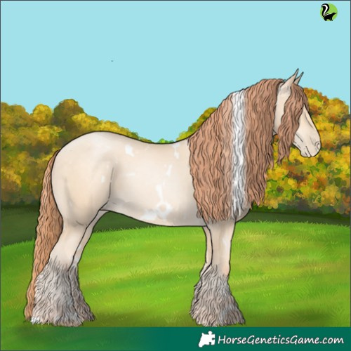 Horse Color:White Spotted Sable Cream Champagne Pearl 