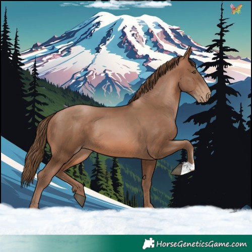 Horse Color:Brown Pearl 