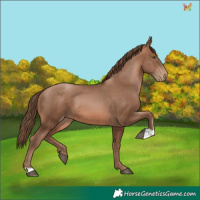 Horse Color:Brown Pearl 