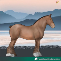 Horse Color:Brown Pearl 