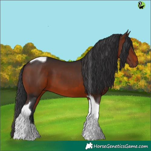 Horse Color:Brown Tobiano 
