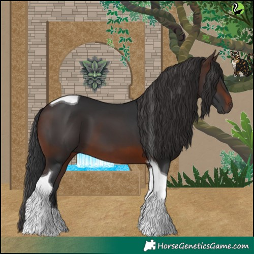 Horse Color:Brown Tobiano 