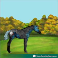 Horse Color:ERROR: UNKNOWN ANOMALY