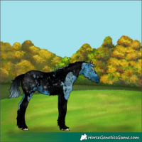 Horse Color:ERROR: UNKNOWN ANOMALY