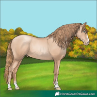 Horse Color:Gold Champagne Pearl Rabicano  and Gold Champagne Pearl Rabicano 