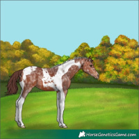 Horse Color:Chocolate Bay Ice Tobiano 
