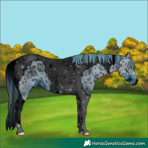 Horse Color:ERROR: UNKNOWN ANOMALY