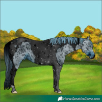 Horse Color:ERROR: UNKNOWN ANOMALY