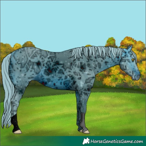 Horse Color:ERROR: UNKNOWN ANOMALY