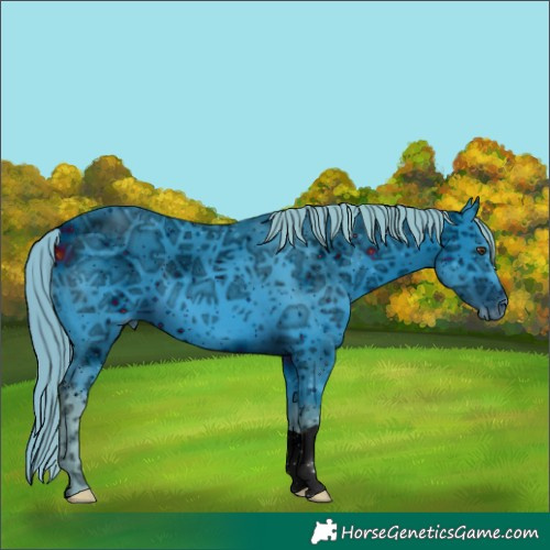 Horse Color:ERROR: UNKNOWN ANOMALY