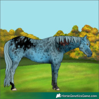 Horse Color:ERROR: UNKNOWN ANOMALY