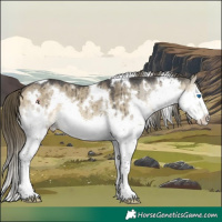 Horse Color:White Spotted Buckskin Dun Splash Appaloosa Brindle