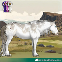 Horse Color:White Spotted Buckskin Dun Splash Appaloosa Brindle