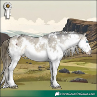 Horse Color:White Spotted Buckskin Dun Splash Appaloosa Brindle 