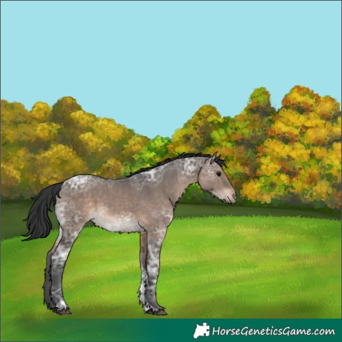 Horse Color:Brown Ice Dun Tobiano 