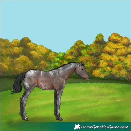 Horse Color:Brown Ice 