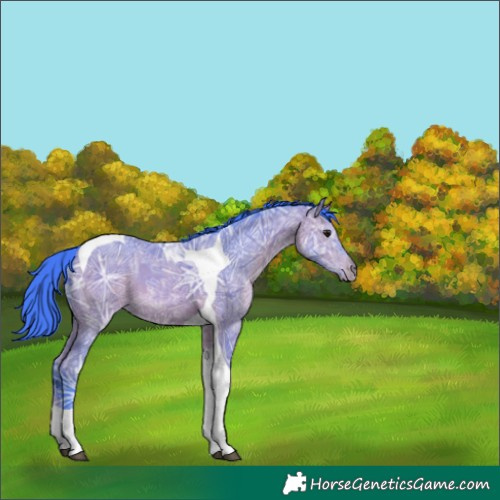Horse Color:Watercolor Bay Ice Tobiano 