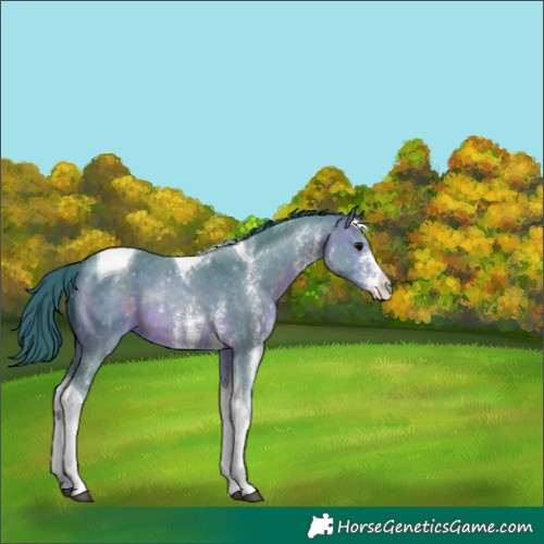 Horse Color:Watercolor Brown Sabino Tobiano 