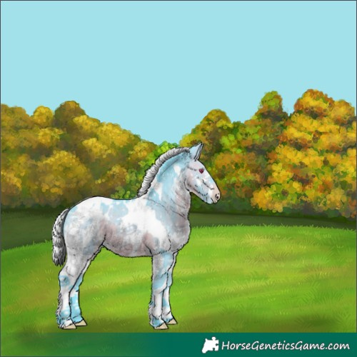 Horse Color:Watercolor Silver Brown Chinchilla Splash Tobiano Appaloosa 