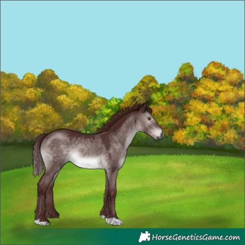 Horse Color:Gray Platinum Chocolate Brown Dun 