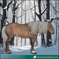 Horse Color:Silver Brown Dun Tobiano 