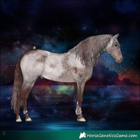 Horse Color:Platinum Chocolate Brown Dun Tobiano 