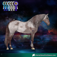 Horse Color:Platinum Chocolate Brown Dun Tobiano 