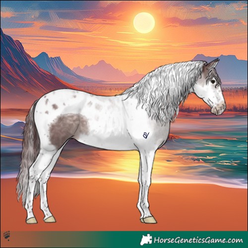 Horse Color:Platinum Chocolate Brown Dun Splash Tobiano Frame 