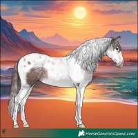 Horse Color:Platinum Chocolate Brown Dun Splash Tobiano Frame