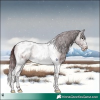 Horse Color:Platinum Chocolate Brown Dun Tobiano Frame Brindle