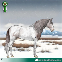 Horse Color:Platinum Chocolate Brown Dun Tobiano Frame Brindle