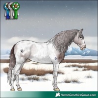 Horse Color:Platinum Chocolate Brown Dun Tobiano Frame Brindle 