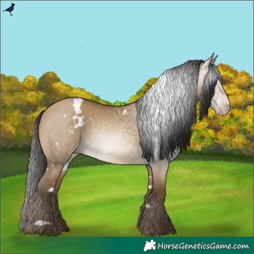 Horse Color:Gray White Spotted Sable Cream Champagne Dun 