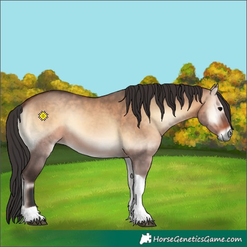 Horse Color:Brown Onyx Tobiano 