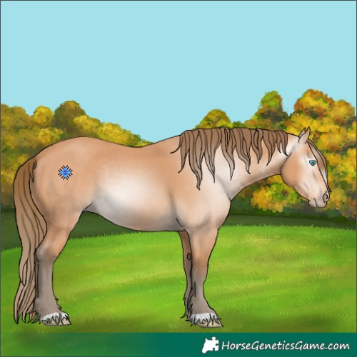 Horse Color:Gray Perlino 