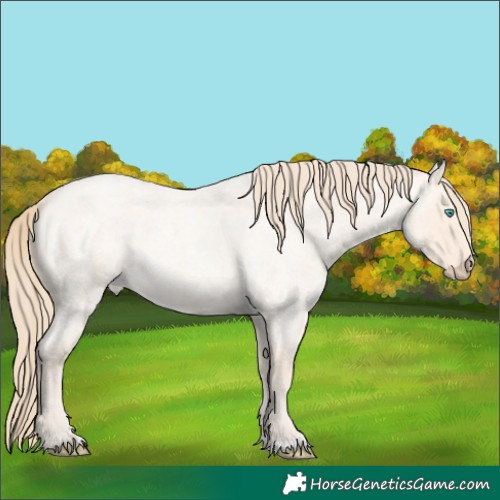 Horse Color:Perlino Roan 
