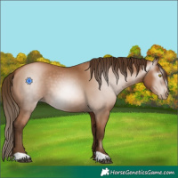 Horse Color:Gray Bay Pearl