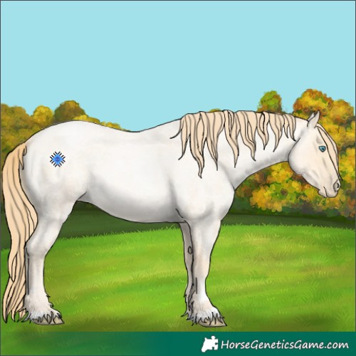 Horse Color:Buckskin Roan Pearl 