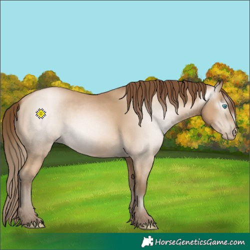 Horse Color:Gray Buckskin Pearl 
