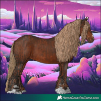 Horse Color:Chestnut  and Liver Chestnut 