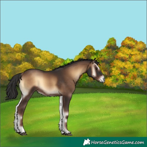 Horse Color:Liver Red Onyx 